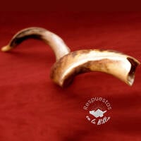 5. ¿Qué es el Shofar? | Respuestas en la Biblia by Kehila Camino a Emaus