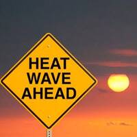 Heat Wave by King Koolie