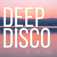 Relax House I Focus Music I Study Beats I Deep Disco Music #60 I Best Of Deep House Vocals by Deep Disco Music