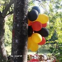 we like the party by Hans Krauß