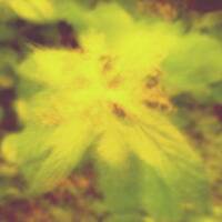 Selvy - Exclusive Nightflight Guest Mix - 29.10.13 by Tobias Koch - Nightflight - Radio FRITZ