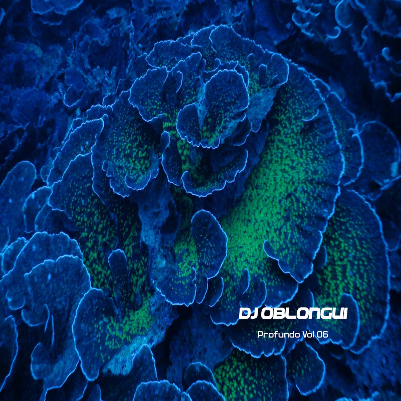 DJ Oblongui Profundo Vol 06 (WhoMadeWho, Eli & Fur, Nick Curly, Steve Bug, Moonwalk...) episode artwork