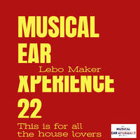 Musical Ear Experienc 22 (Tshepang Mzaka Appreciation mix) by LEBO MAKER