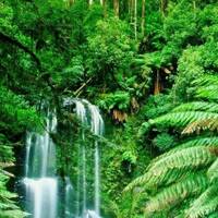 Acauyama by windspace