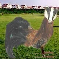 Cockbadger [Eurodance, 90s] (Ep. 2) by Mike Ferrano