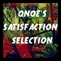 Qnoe`s Satisfaction Selection by Qnoe