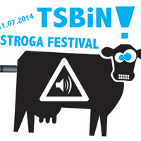 TSBiN :: Technostage :: Stroga Festival 2014 by TSBiN aka TeeSeN & SchuBi