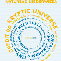 Finn Johannsen - Live at Treibsand Naturbad August 11 2013 Part 1 by Finn Johannsen