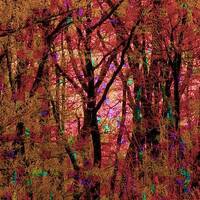 Variations Happiniouillères by Gérard Delassus