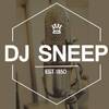 DJ Sneep💠