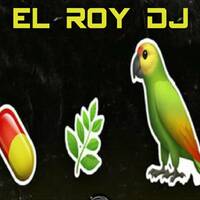 PASTILLA_HIERBA Y PERICO MIXTAPE ( EL ROY DJ ) by @theurbanflow507