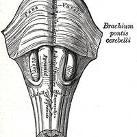 Nous Ne Savons Pas #1 - Bienvenu.e.s dans l'Espace Noun by Radio Quetsch