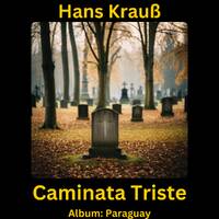 Caminata Triste by Hans Krauß