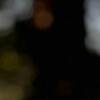 montrail_757