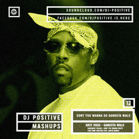 Nate Dogg VS Basement Freaks (The Funk Hunters rmx) - Don't you wanna do gangsta walk (DJ Positive Mashup) by Dj Positive