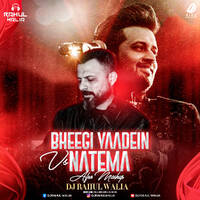 Bheegi Yaadein (Afro Mashup) - DJ Rahul Walia by All Indian DJs Drive
