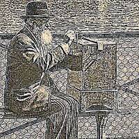 Barbe à riz V 3 by Gérard Delassus