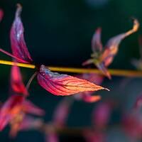 copernicus - highway to house - episode 75 by copernicus