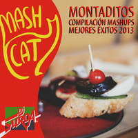 MashCat - Montadito 2013 (Continuous Mix) by MashCat
