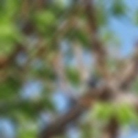 @Dj_Link_SA_[Tribute_to_DeepHouse_lovers] by @Dj_Link_SA