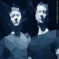 d'Arcangelo live in Vienna, 20 March 2004 by Humorless Productions