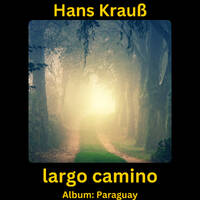 largo camino by Hans Krauß