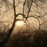 Disonance 01 - 2018 Retrospective by DJ Parody