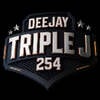 DJ TRIPPLE JAY 254 (TRIPLE VIBEZ.)
