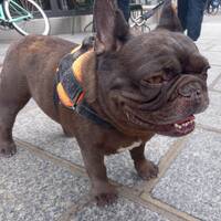 podcast le sacre 2 by LE MATOU