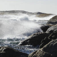 2014-09-07 - Forest of Relaxation mix by Arduous