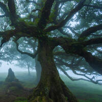 Synthese by Michael Angele