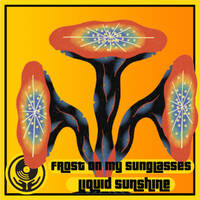 Super Soul - Frost on my Sunglasses - Liquid Sunshine @ The Face Radio - #151 - 02-05-2023 by Liquid Sunshine