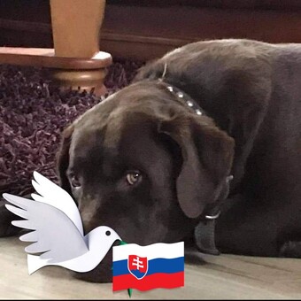 Žanet Hav&iacute;rov&aacute;