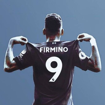 Aldr&iuml;n&ecirc; Sh&iuml;sa&ntilde;y&agrave;