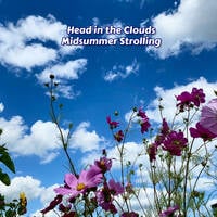Head in the Clouds - Midsummer Strolling by Major Arcana Media