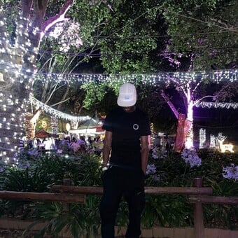 Sedi_856.djy