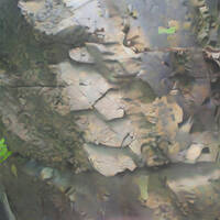 Megan Pierson - Pinky Promise (Dealazer Addon) #Love #Piano #Singing #Wonder #Dreamy #Learn by DEALazer - Hot Developed Muzaik - From Rap to Trance - Quality One Hit Wonders