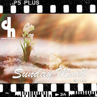 Sunday Mood 113 by Dave Harrigan