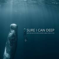 sure i can deep by Mister Quarter