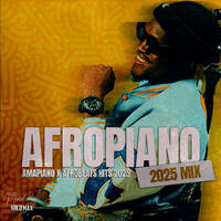 AFROPIANO MIX 2025 (Afrobeats &amp; Amapiano hits) by Fred Max