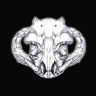 Infinite Warthogs Records