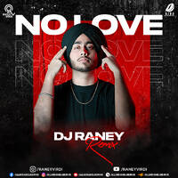 No Love (Club Mix) - DJ Raney by All Indian DJs Drive