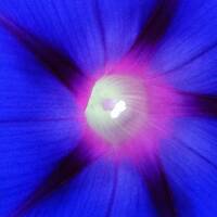 Prayer 191019 by Athene Noctua