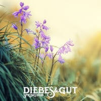diebes&amp;gut - SPRING 2026 by diebes&gut