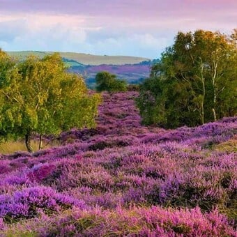 Phil Mountains Matabane