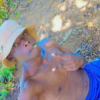 Selector zee