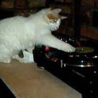 CutSlashKill - Lovely Cat by ........