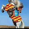 Pedro Bataller Talens