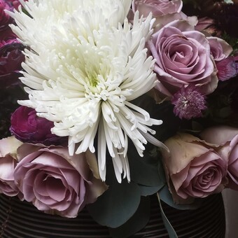 Elizabeth Klisiewicz