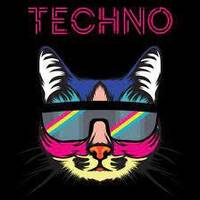 christian ackermann live 